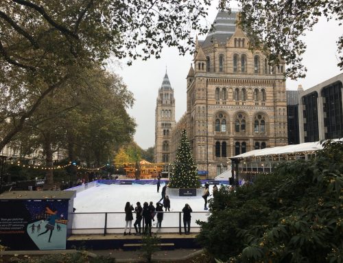 LA PISTA DE HIELO DEL NATURAL HISTORY MUSEUM
